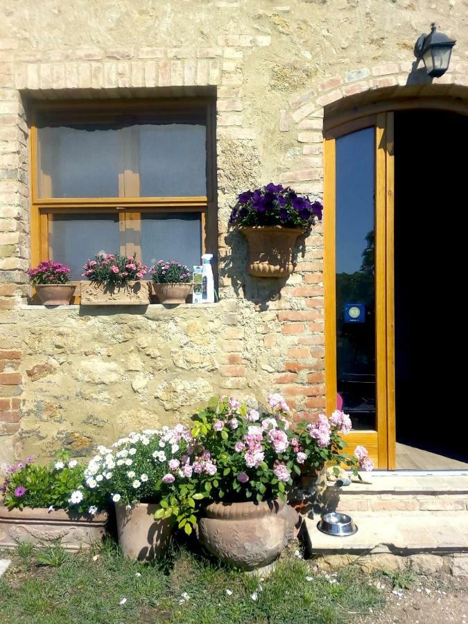 Apartamento Casa Ollie Castel San Gimignano Exterior foto